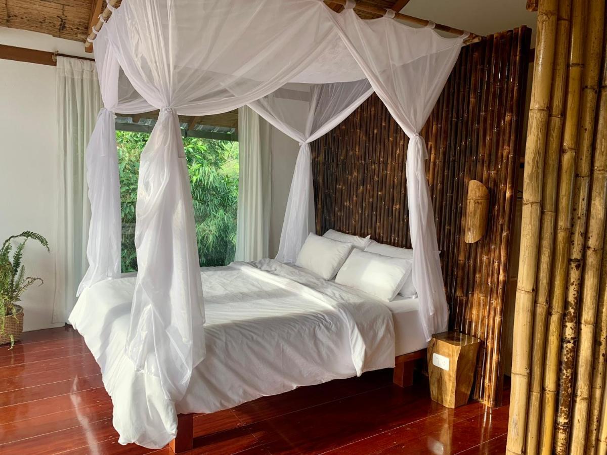 Wild Wasi Lodge - Adventures - Guided Tours Puyo Exterior foto