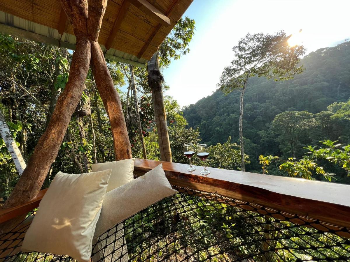 Wild Wasi Lodge - Adventures - Guided Tours Puyo Exterior foto