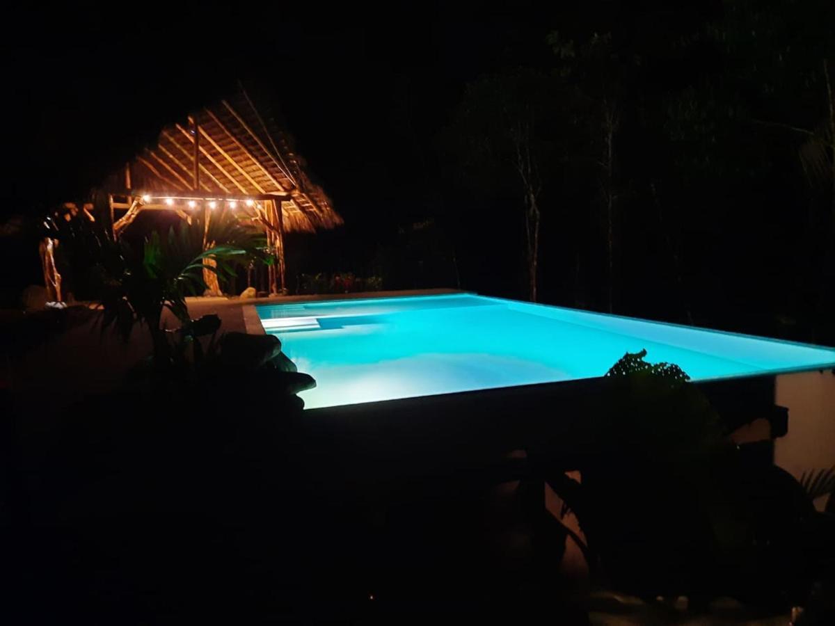 Wild Wasi Lodge - Adventures - Guided Tours Puyo Exterior foto