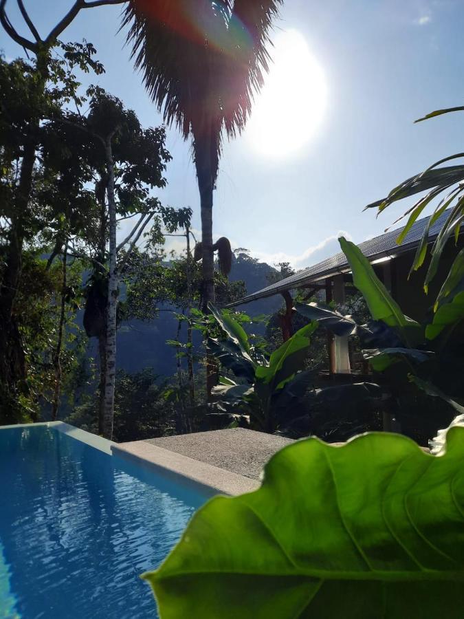 Wild Wasi Lodge - Adventures - Guided Tours Puyo Exterior foto