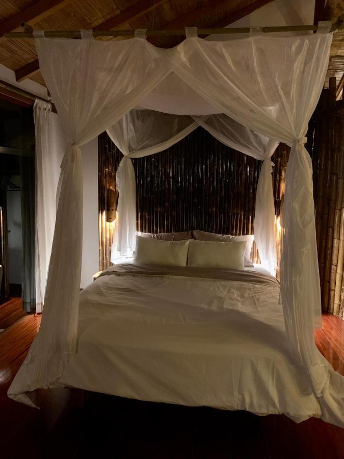 Wild Wasi Lodge - Adventures - Guided Tours Puyo Exterior foto