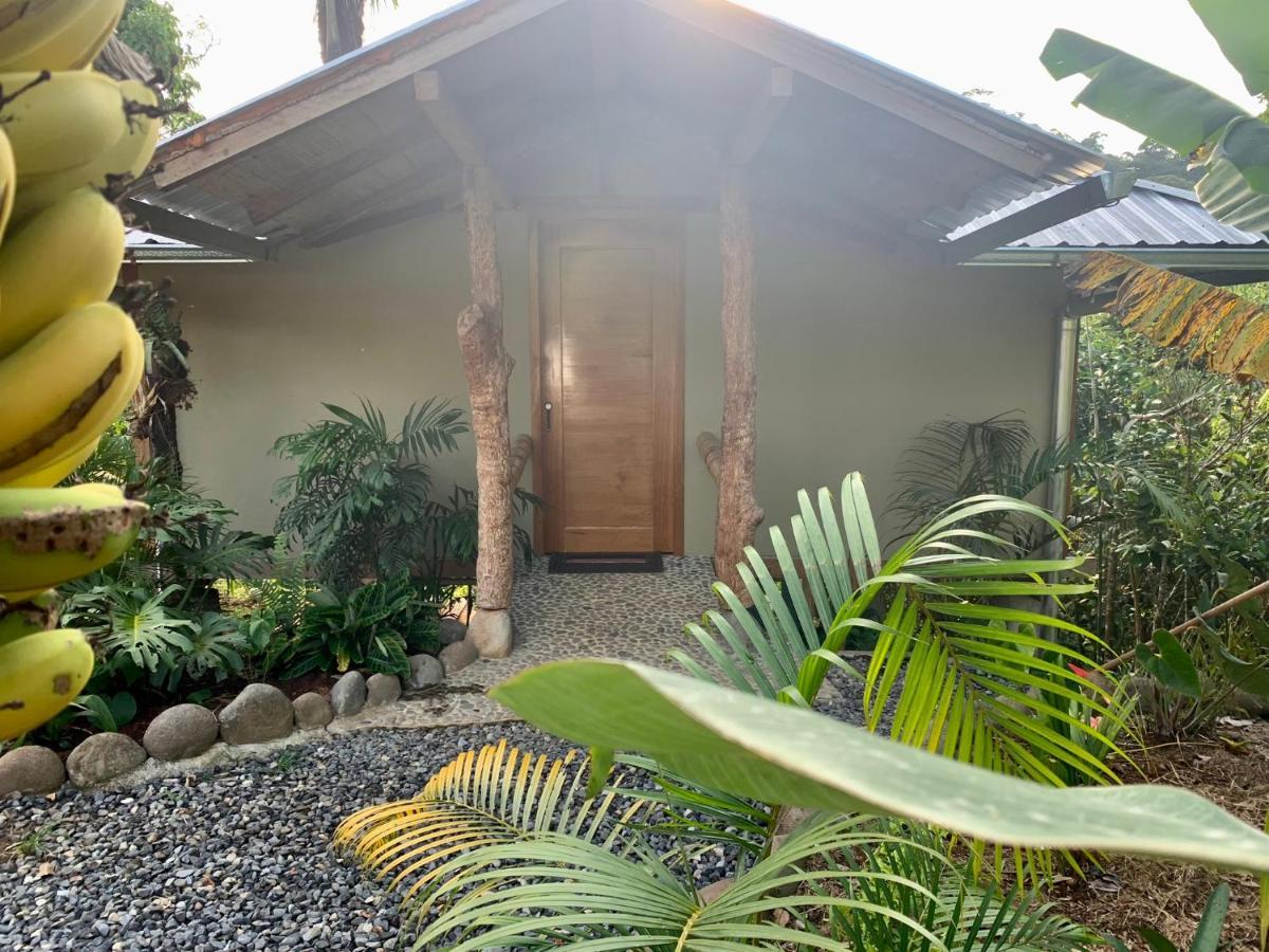 Wild Wasi Lodge - Adventures - Guided Tours Puyo Exterior foto