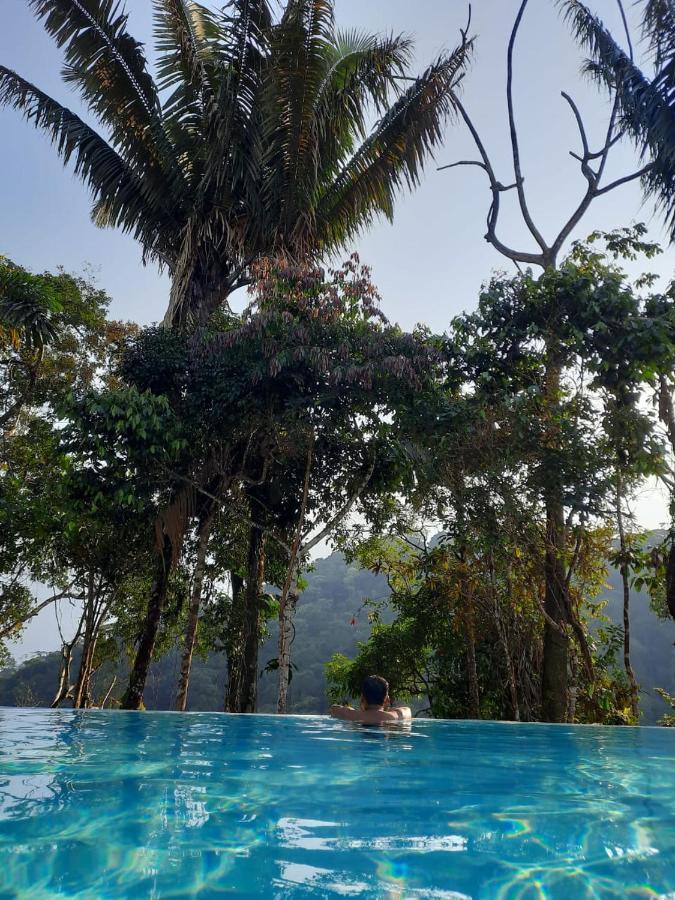 Wild Wasi Lodge - Adventures - Guided Tours Puyo Exterior foto