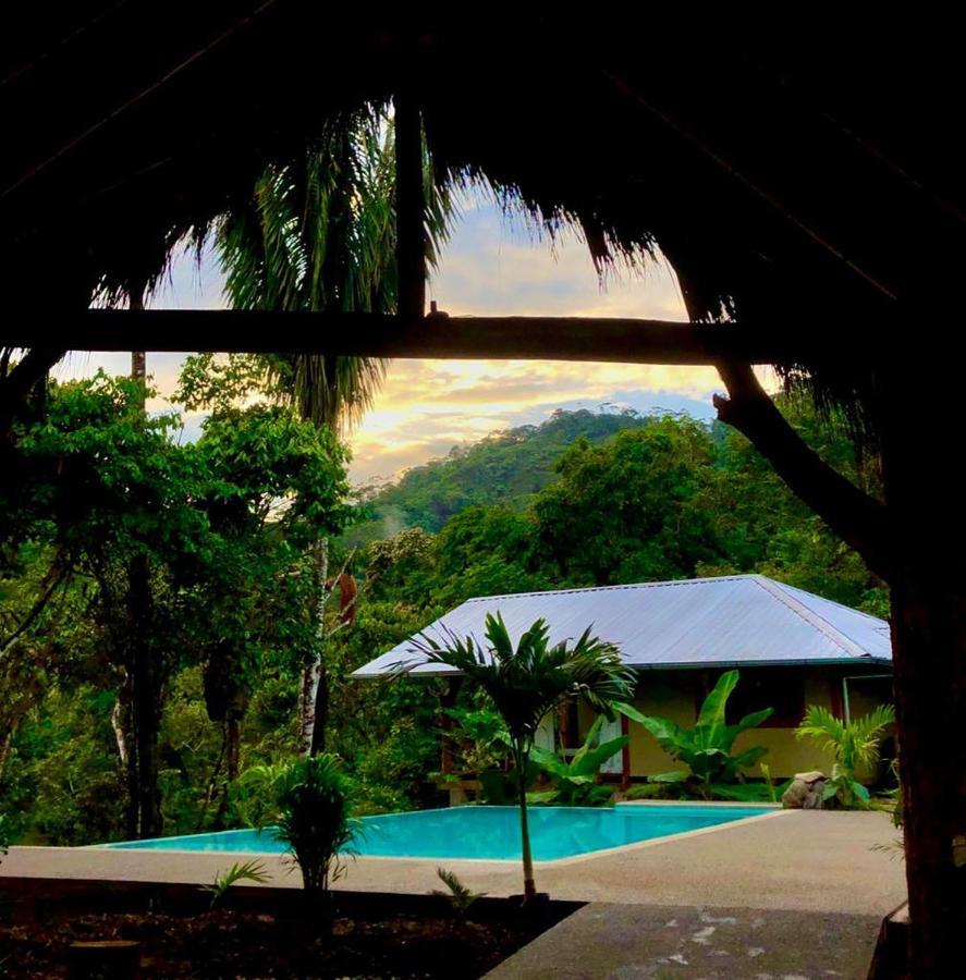 Wild Wasi Lodge - Adventures - Guided Tours Puyo Exterior foto