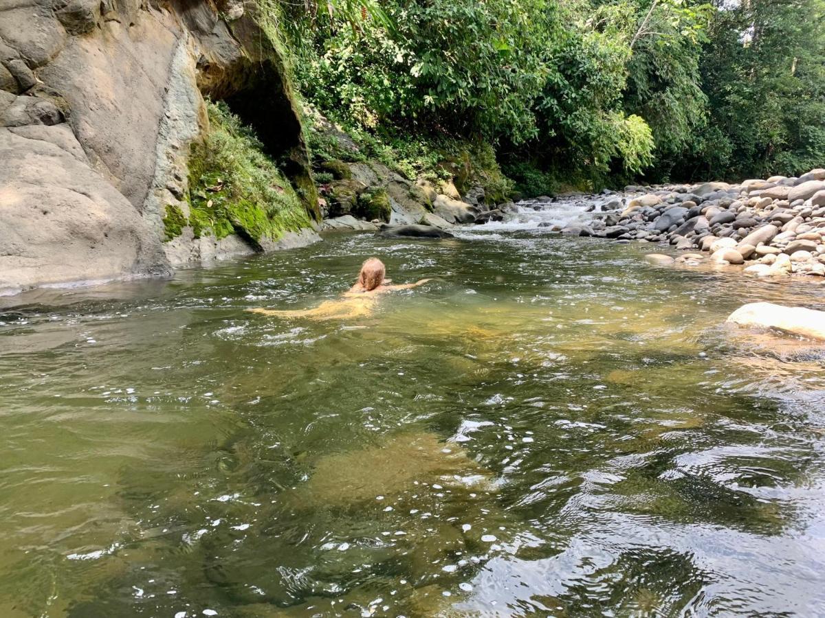 Wild Wasi Lodge - Adventures - Guided Tours Puyo Exterior foto