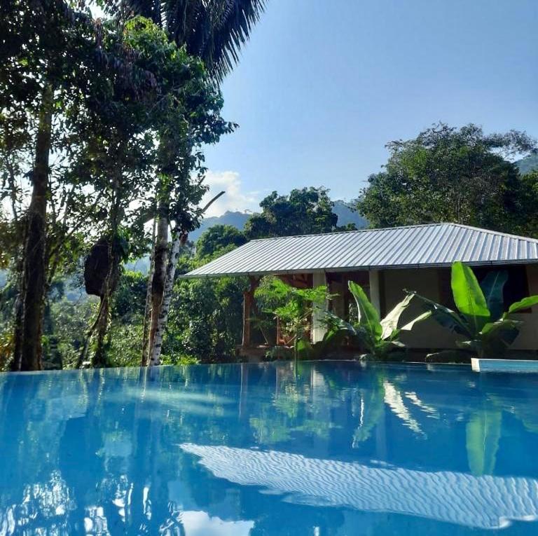 Wild Wasi Lodge - Adventures - Guided Tours Puyo Exterior foto