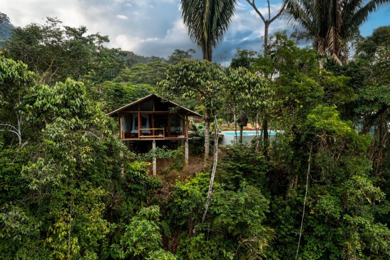 Wild Wasi Lodge - Adventures - Guided Tours Puyo Exterior foto