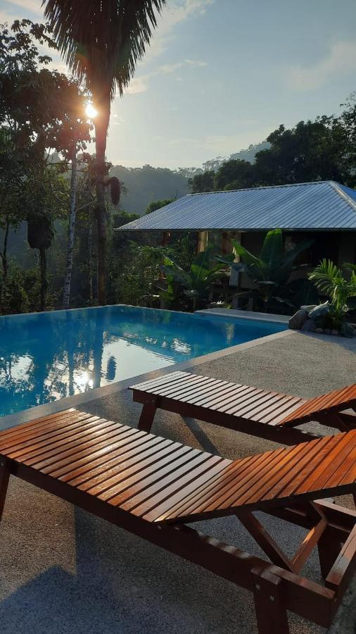 Wild Wasi Lodge - Adventures - Guided Tours Puyo Exterior foto