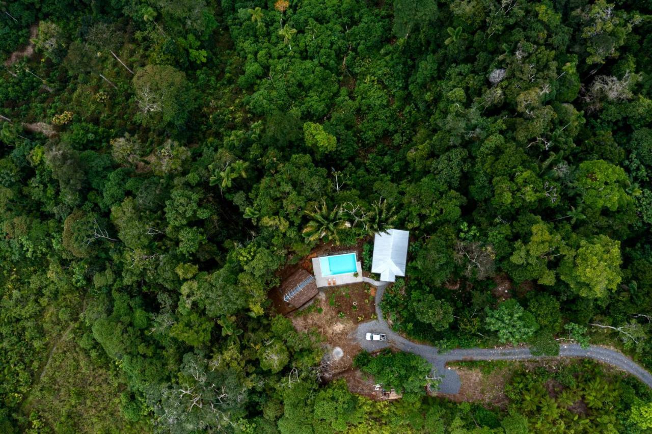 Wild Wasi Lodge - Adventures - Guided Tours Puyo Exterior foto