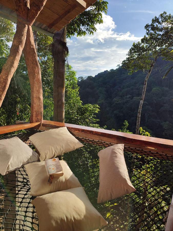 Wild Wasi Lodge - Adventures - Guided Tours Puyo Exterior foto