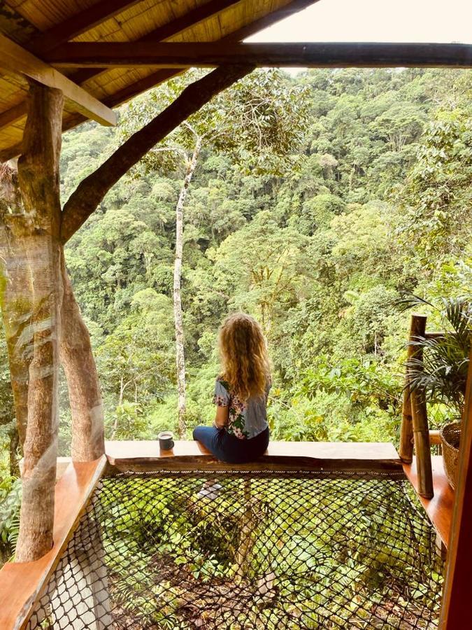 Wild Wasi Lodge - Adventures - Guided Tours Puyo Exterior foto
