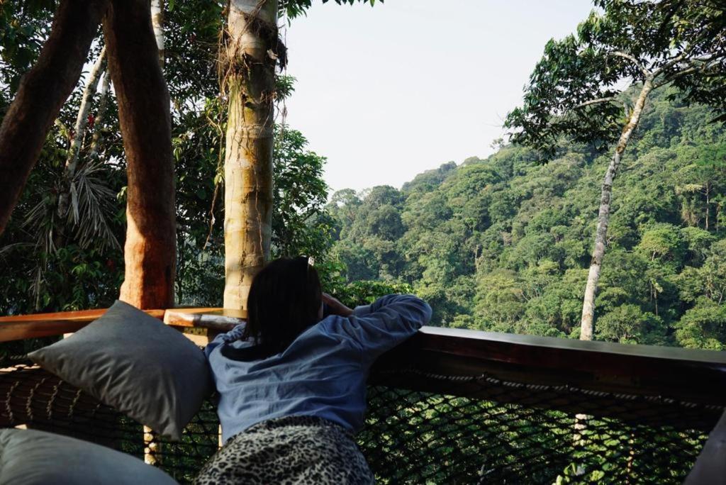 Wild Wasi Lodge - Adventures - Guided Tours Puyo Exterior foto
