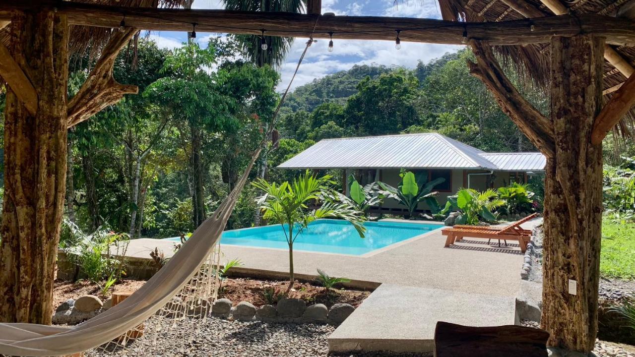 Wild Wasi Lodge - Adventures - Guided Tours Puyo Exterior foto