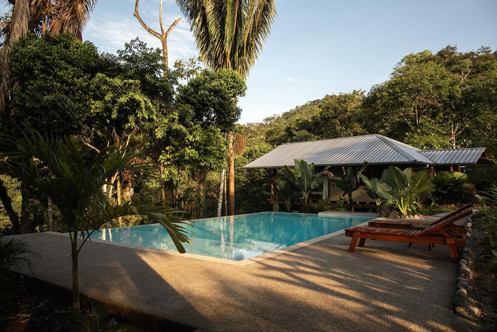 Wild Wasi Lodge - Adventures - Guided Tours Puyo Exterior foto