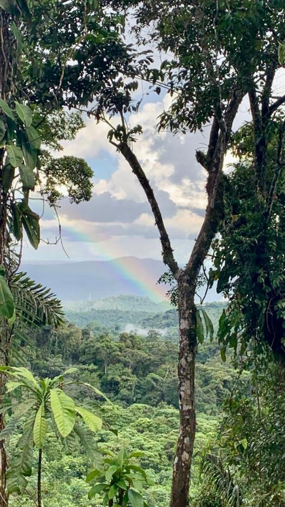 Wild Wasi Lodge - Adventures - Guided Tours Puyo Exterior foto