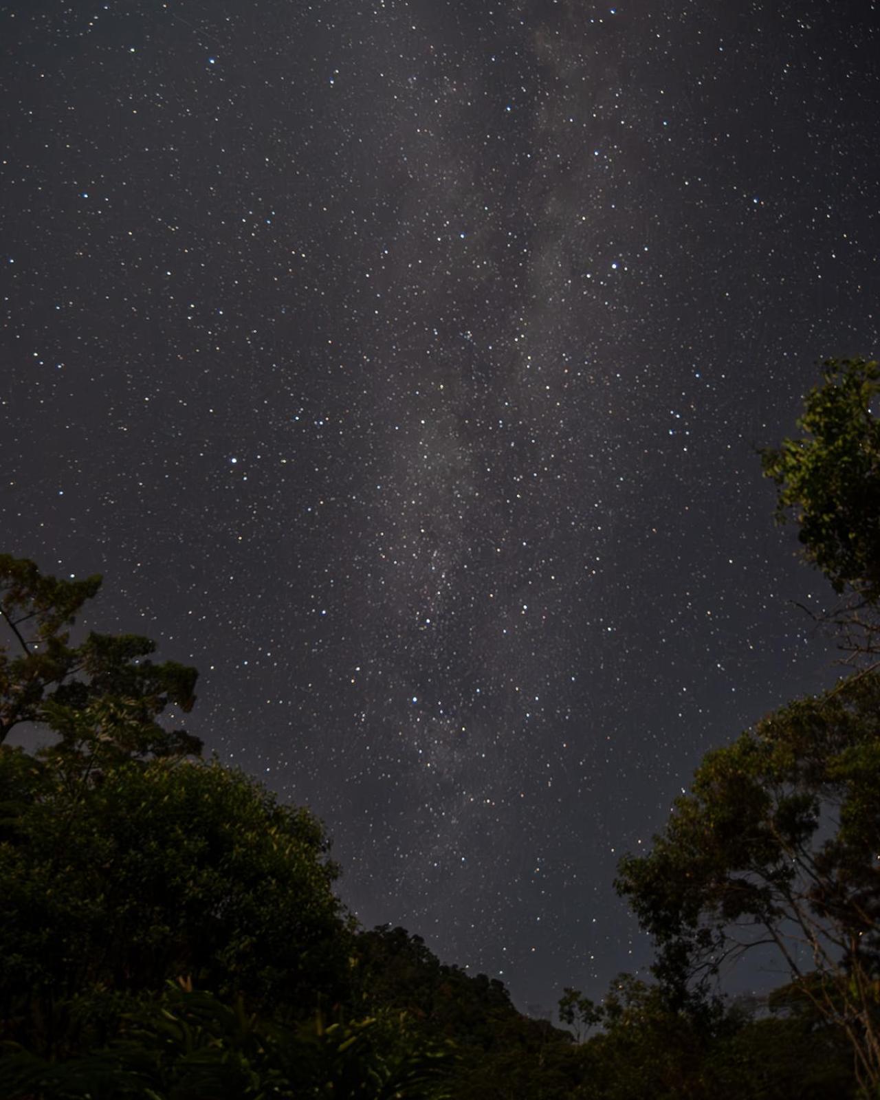 Wild Wasi Lodge - Adventures - Guided Tours Puyo Exterior foto