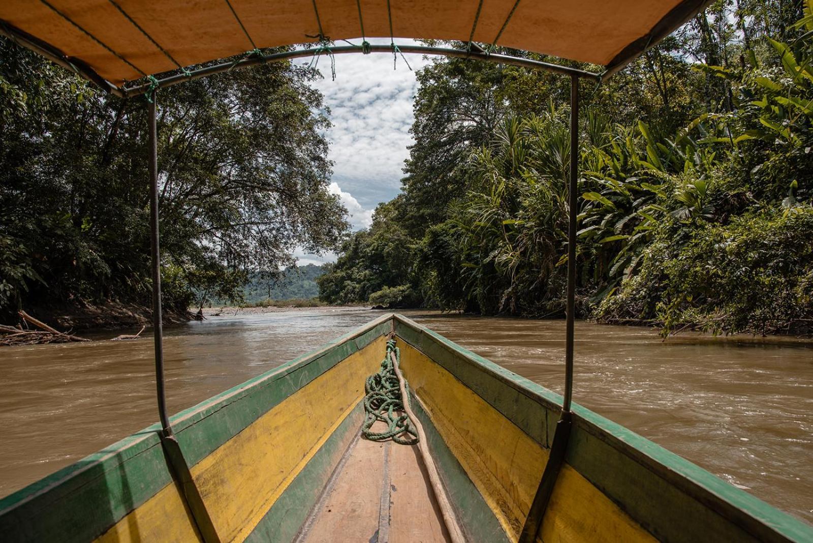 Wild Wasi Lodge - Adventures - Guided Tours Puyo Exterior foto