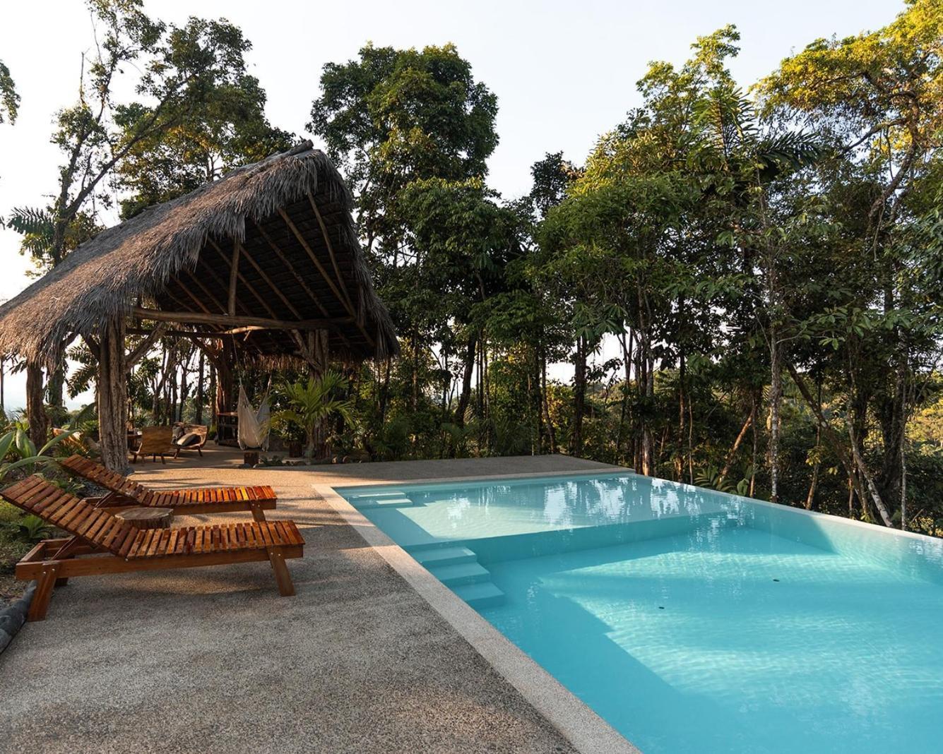 Wild Wasi Lodge - Adventures - Guided Tours Puyo Exterior foto