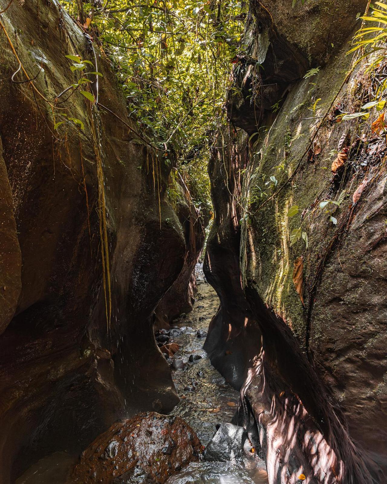 Wild Wasi Lodge - Adventures - Guided Tours Puyo Exterior foto