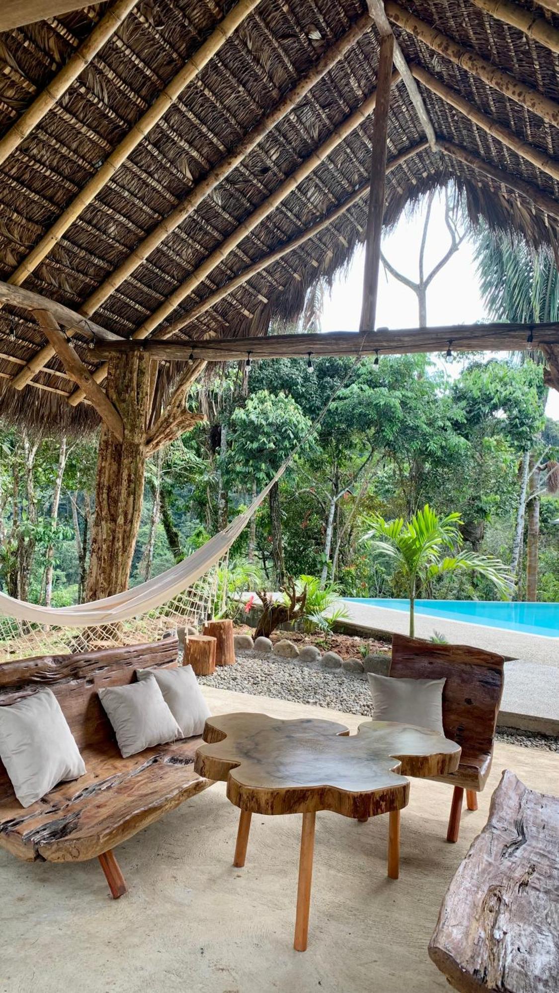 Wild Wasi Lodge - Adventures - Guided Tours Puyo Exterior foto