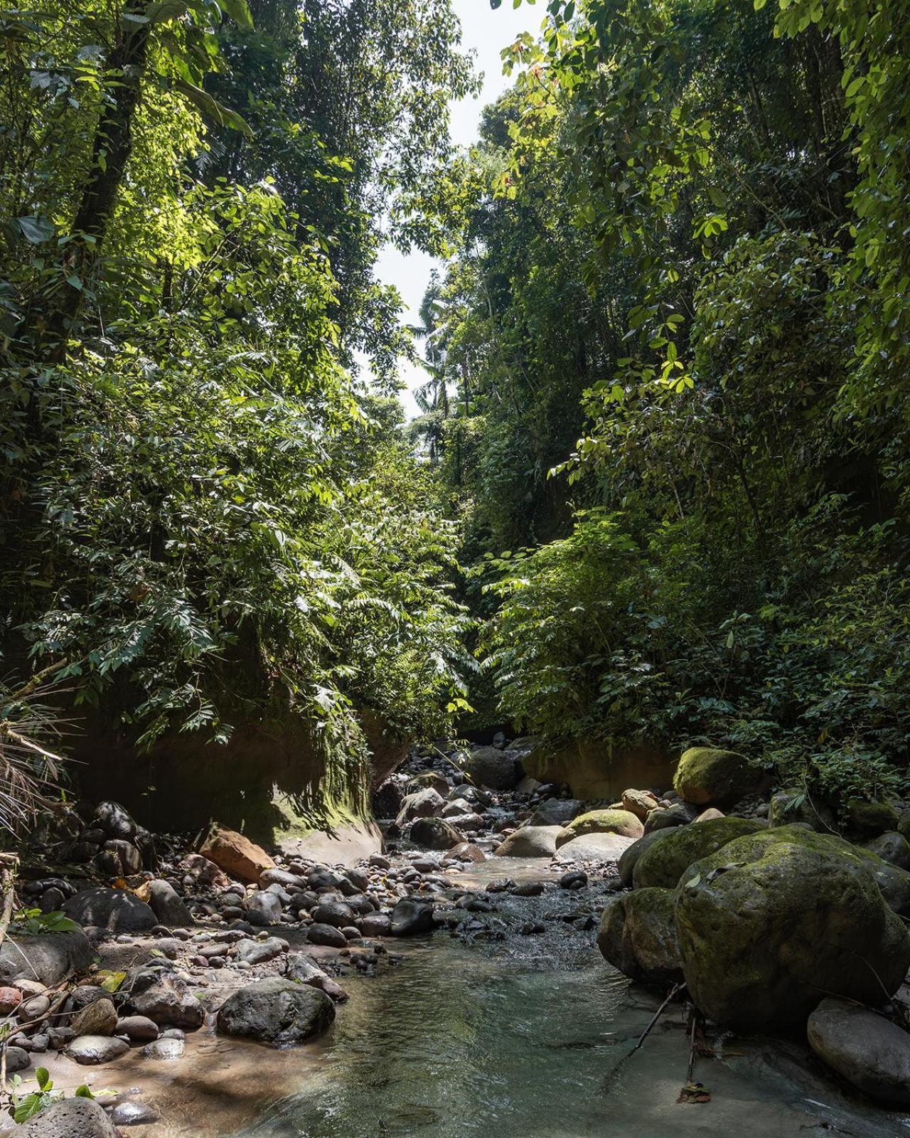 Wild Wasi Lodge - Adventures - Guided Tours Puyo Exterior foto
